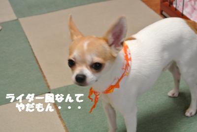 蟆城未+830_convert_20120827101513