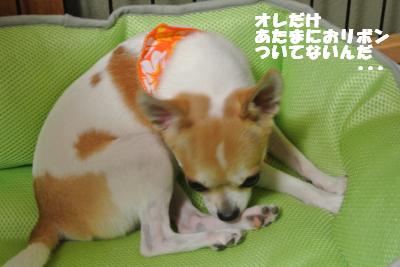 蟆城未+839_convert_20120827101604
