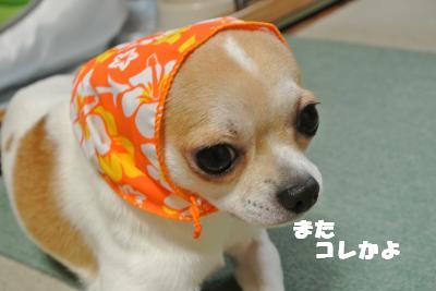 蟆城未+841_convert_20120827101629