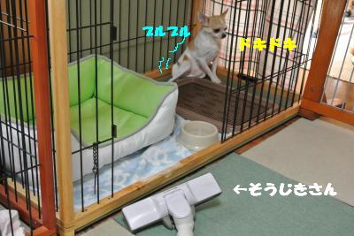 蟆城未+842_convert_20120827102426