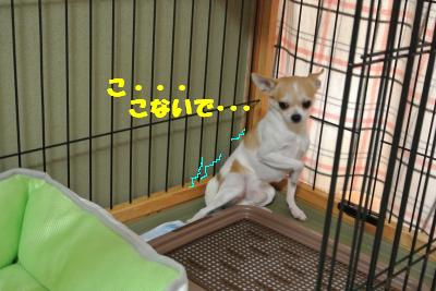 蟆城未+843_convert_20120827102450