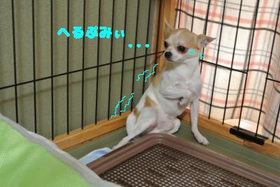 蟆城未+849_convert_20120827102514