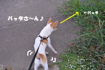 蟆城未+858_convert_20120828100457