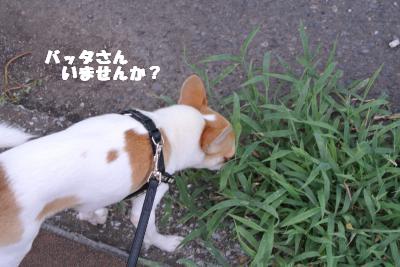 蟆城未+857_convert_20120828100422