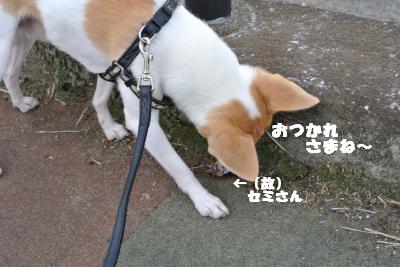 蟆城未+863_convert_20120828101112