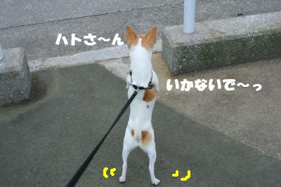 蟆城未+878_convert_20120828101513