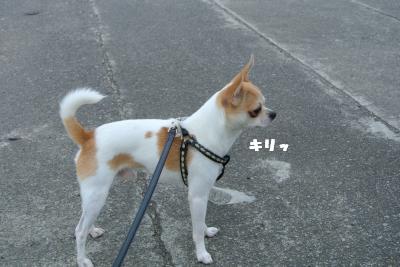 蟆城未+873_convert_20120828101306