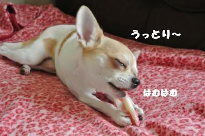 蟆城未+896_convert_20120828101538
