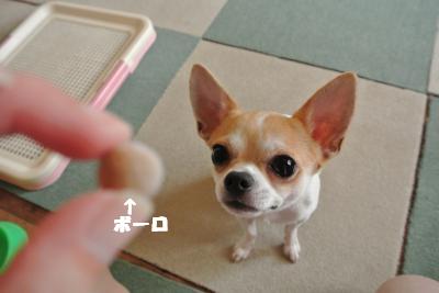 蟆城未+883_convert_20120828101432