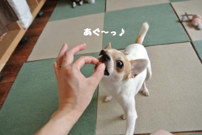 蟆城未+884_convert_20120828101448
