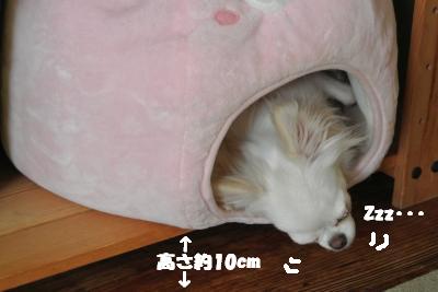蟆城未+891_convert_20120828101837