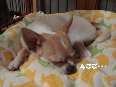 蟆城未+409_convert_20120828104335