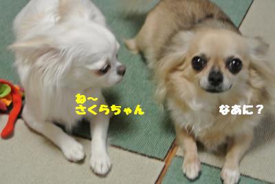 蟆城未+902_convert_20120829101810
