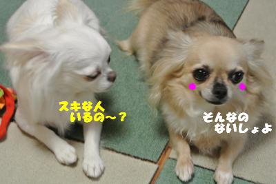 蟆城未+903_convert_20120829101831