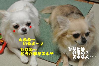 蟆城未+899_convert_20120829101724