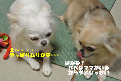蟆城未+904_convert_20120829101853
