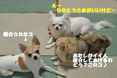 蟆城未+898_convert_20120829101702