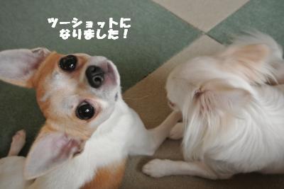 蟆城未+915_convert_20120829101946