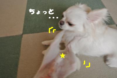 蟆城未+920_convert_20120829102229