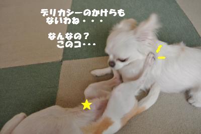 蟆城未+916_convert_20120829102144