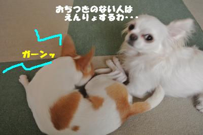 蟆城未+917_convert_20120829102014