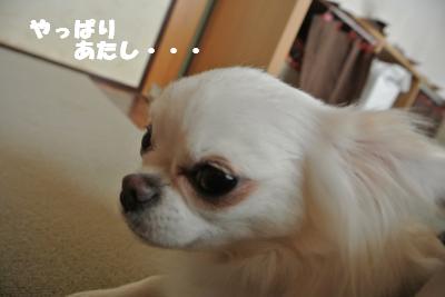 蟆城未+912_convert_20120829102419