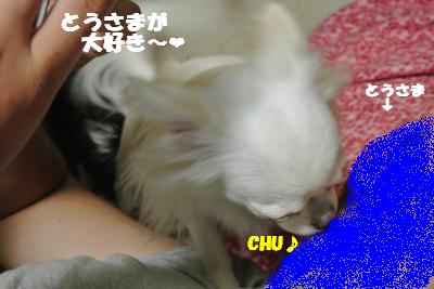 蟆城未+909_convert_20120829101918
