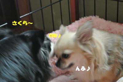 蟆城未+921_convert_20120829102638