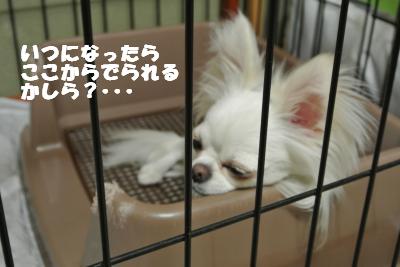 蟆城未+907_convert_20120829142312