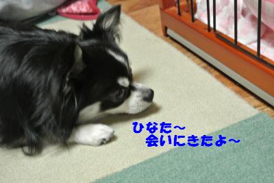 蟆城未+905_convert_20120829142335