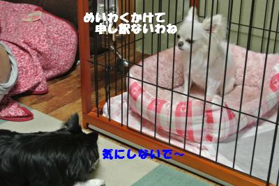 蟆城未+900_convert_20120829142358
