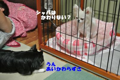 蟆城未+901_convert_20120829142415