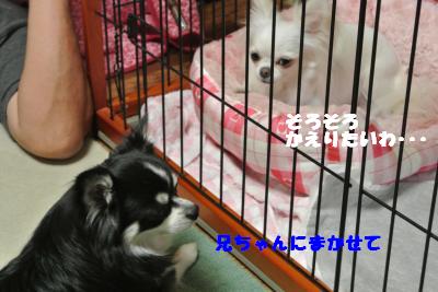 蟆城未+925_convert_20120830093158