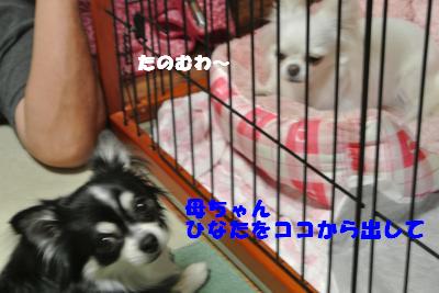 蟆城未+928_convert_20120830093123