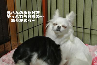 蟆城未+906_convert_20120830094728