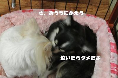 蟆城未+908_convert_20120829142546