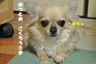 蟆城未+910_convert_20120829144426
