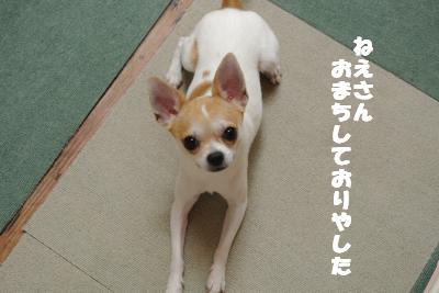 蟆城未+881_convert_20120829144524