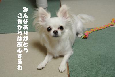 蟆城未+856_convert_20120829142701