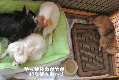 蟆城未+897_convert_20120829144455