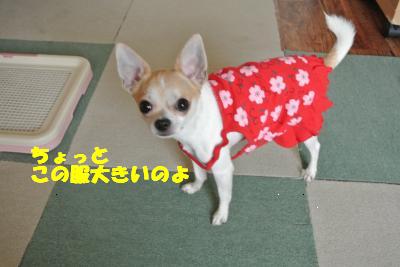 蟆城未+942_convert_20120830093314