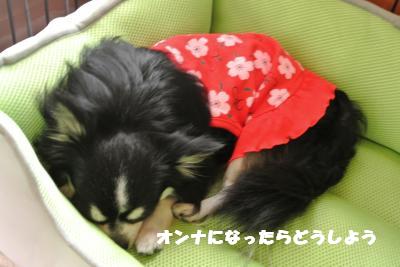 蟆城未+940_convert_20120830093249