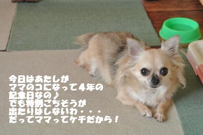 蟆城未+862_convert_20120830105754