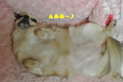 蟆城未+926_convert_20120830093341