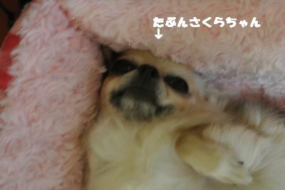 蟆城未+927_convert_20120830093359
