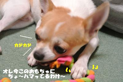 蟆城未+942_convert_20120831152549