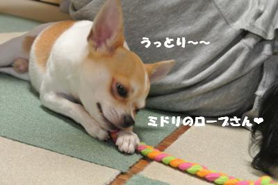 蟆城未+943_convert_20120831152521
