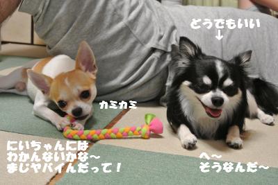 蟆城未+941_convert_20120831152941