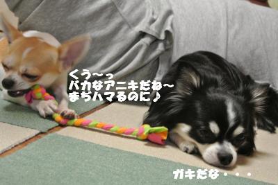 蟆城未+946_convert_20120831152805