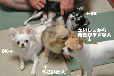 蟆城未+938_convert_20120831153049